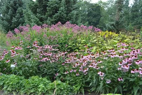 Combine water sources: tips for successful garden ensembles