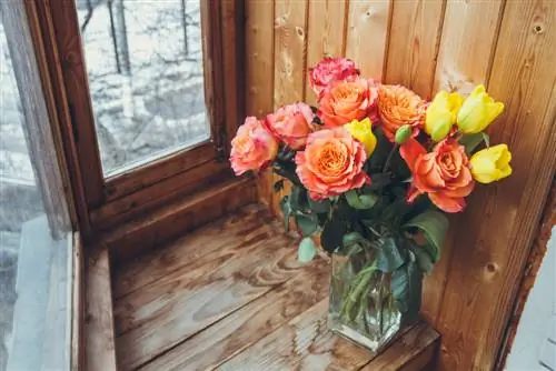 A fragrant bouquet - roses and tulips as a bouquet in a vase