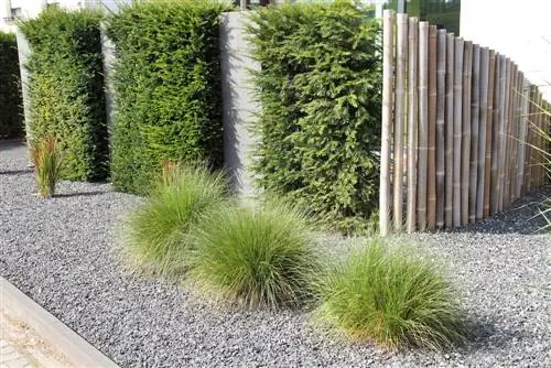 garden design with bamboo and grasses