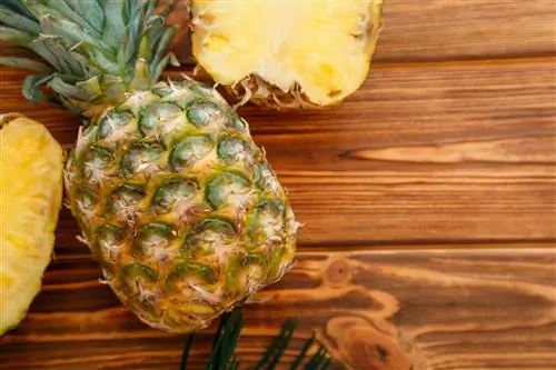 Ananas med brune flekker: Fortsatt spiselig eller bør jeg kaste den?