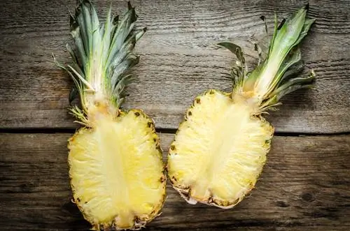 ananas midtpunkt måltid