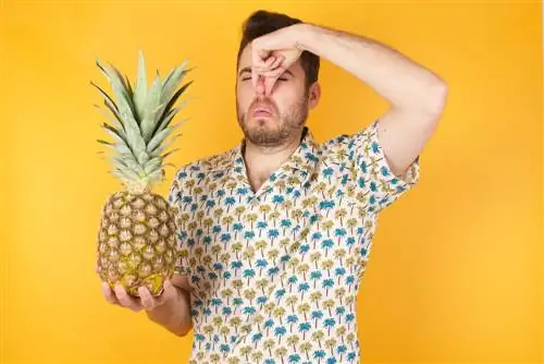 Ananas-dziwnie pachnie