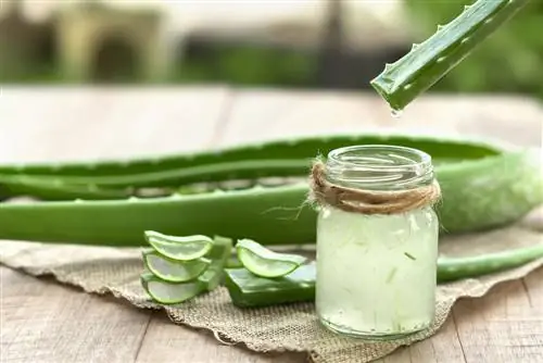 rimozione macchie di aloe vera