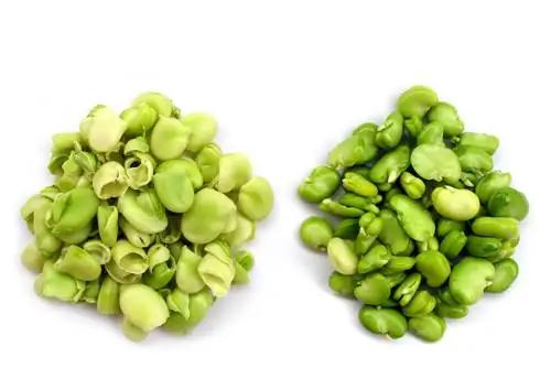 Broad beans: Ligtas bang kainin ang balat?