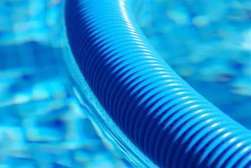 Rimuovi le alghe dal tubo della piscina: ecco come si pulisce