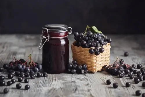 saveur d'aronia