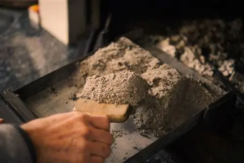 Sbarazzati delle formiche con la cenere: rispettoso dell'ambiente ed efficiente