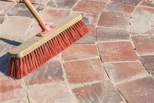 Joint sand against ants: How to protect your paving