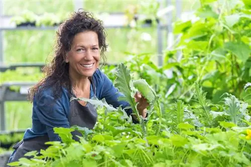 ¿Cuándo es necesario fertilizar las alcachofas? Instrucciones y consejos