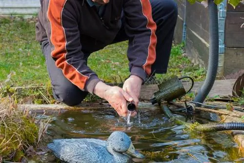 Pond aeration against algae: Effective strategies & tips