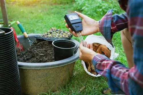 Valeur du pH du sol en croissance