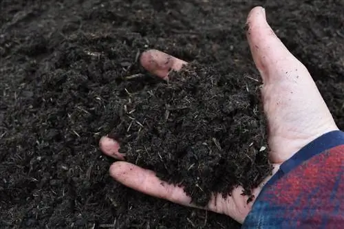 Cuocere correttamente il terreno dei semi a vapore: istruzioni passo passo