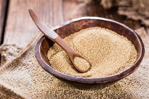 amaranth toxumları