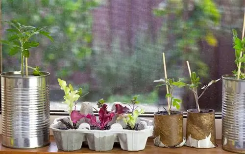 Make your own growing pots