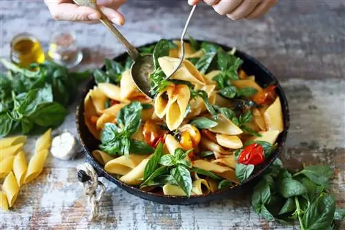 De smaak van basilicum: een aromatische alleskunner