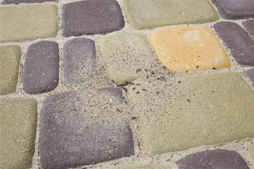 Ants under paving stones? Fleece is the solution