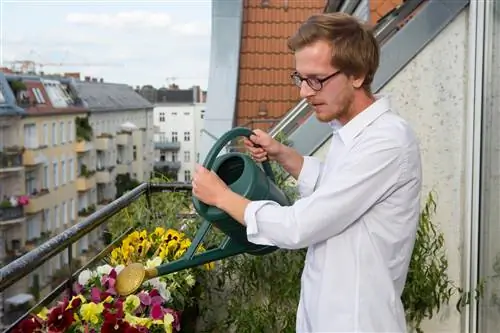 hoe-vaak-balkonbloemen water geven