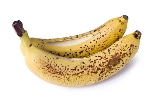 split-bananas-edible