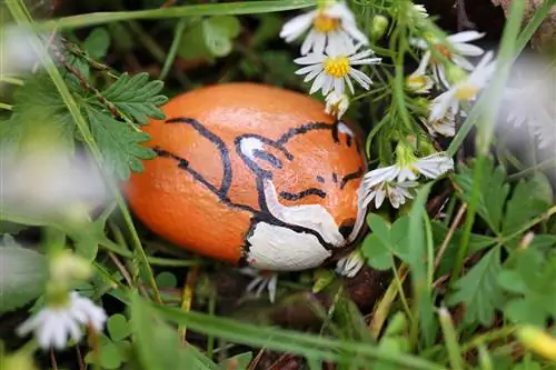 Pedra com uma raposa pintada