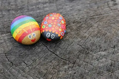 Piedras pintadas como escarabajos.