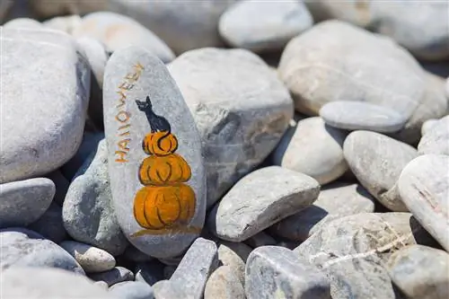 Pedra pintada com uma abóbora e um gato para o Halloween