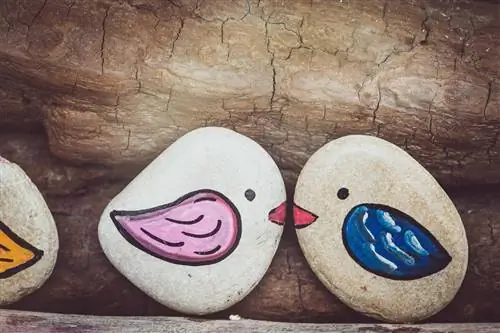 Piedras pintadas con motivo de pájaro.