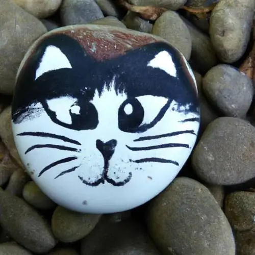 Gato pintado sobre una piedra.