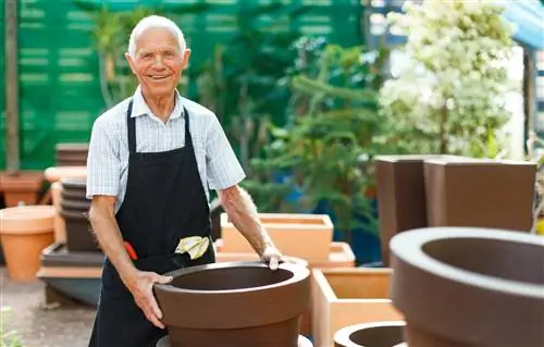 Pommier en pot : Quand faut-il rempoter ?