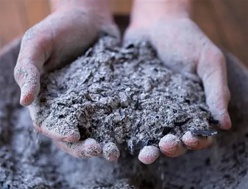 Carenza di potassio nei meli: sintomi e soluzioni efficaci