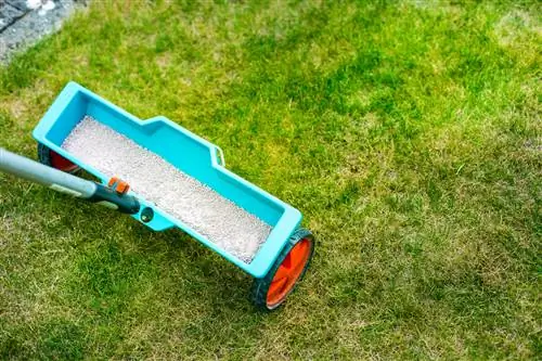 Fertilize the lawn: This is how you get the optimal supply of nutrients