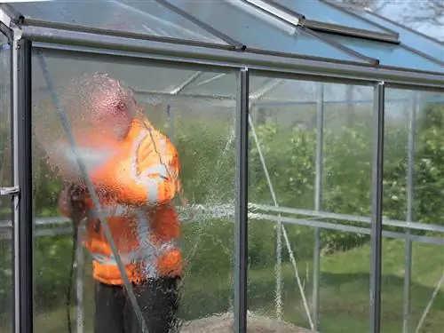 greenhouse-disinfect-mildew