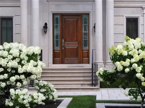 hortênsias na porta da frente