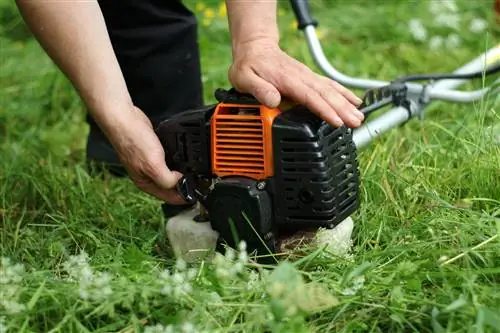 Alisin ang mga blackberry gamit ang brush cutter