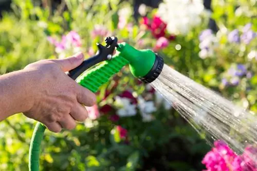 Tuin natmaak tydens vakansie: Wat moet jy oorweeg?