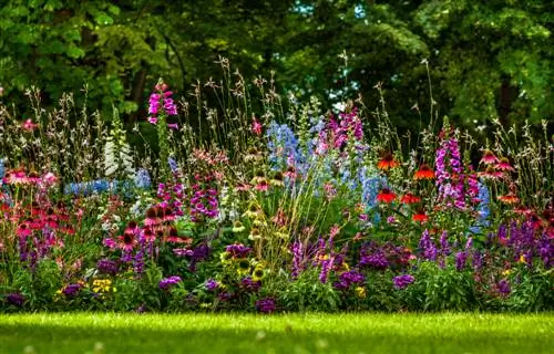 Creating a herbaceous bed