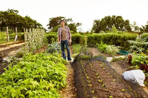 Moestuin laten groeien