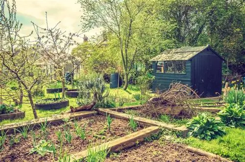 permacultuur tuin