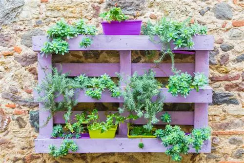 pallet planting