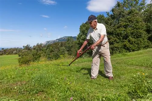 Košenje travnjaka kosom: Povratak umjetnosti košenja