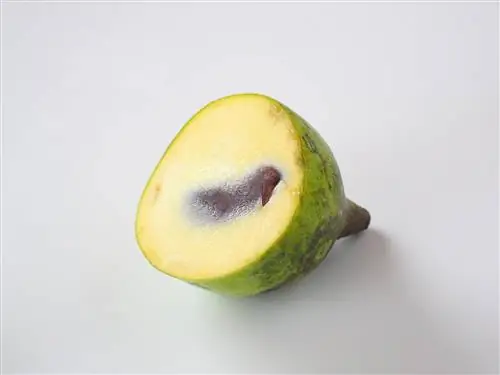 Indian banana freezing