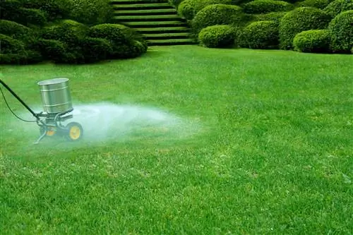 Combatti il muschio in giardino con la calce d'alghe