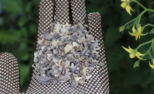 trucioli di corno o grano blu