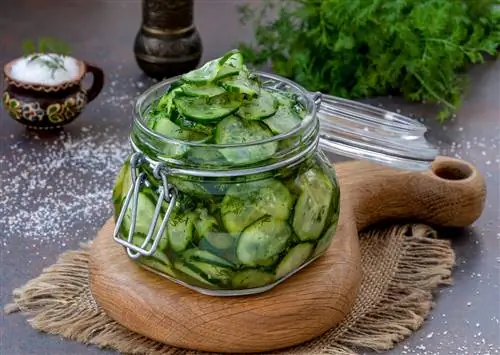 fermenting pickled cucumbers