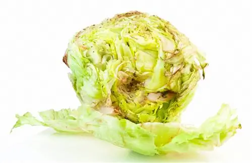 Iceberg lettuce has brown spots: tips on causes and consumption