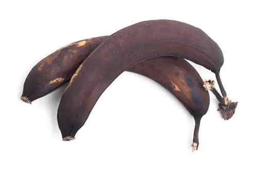 Pisang hitam - dimakan atau dibuang?