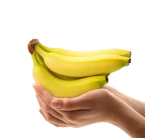 Spise grønne bananer – sunt eller usunt?