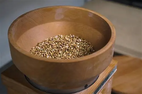 buckwheat peeling