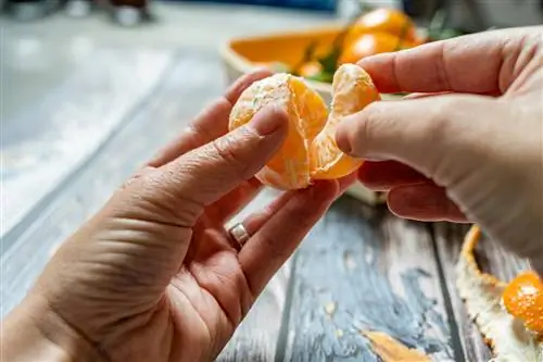 kumain ng clementine seeds