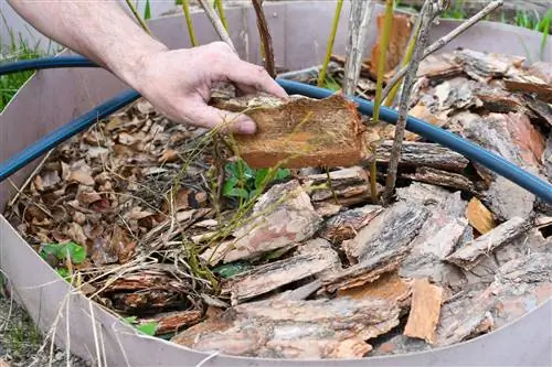 Pamper blueberries with bark mulch