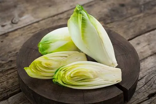 Pagkakaiba ng bok choy at chicory